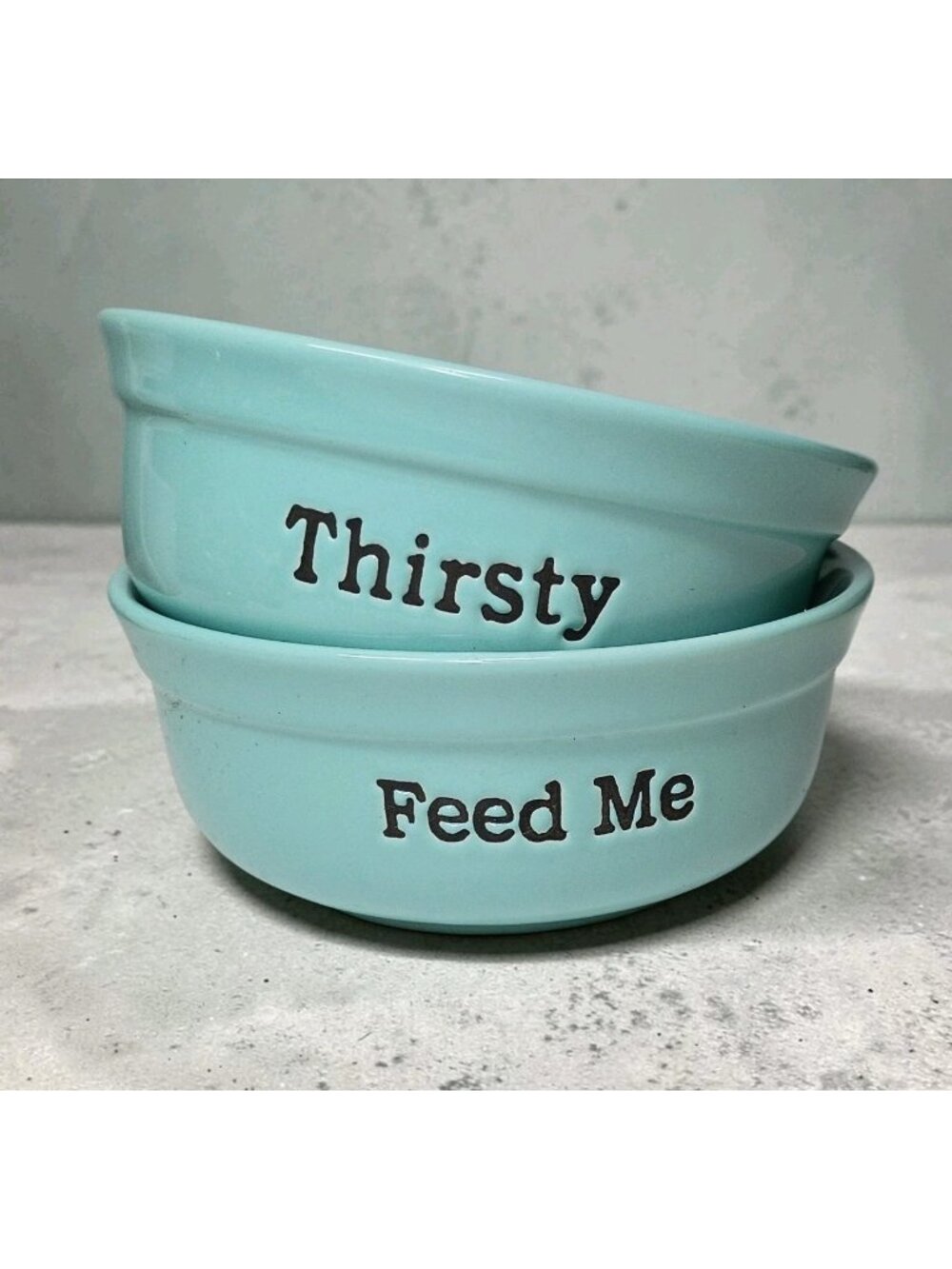 Signature Housewares Stoneware Pet Bowls Cat Dog Spell Out Aqua Paw Print